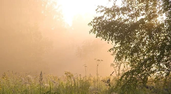 Silna mgła w nocy w Łódzkiem