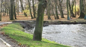 Magistrat odnosi się do wyników kontroli NIK