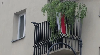 Czy w Piotrkowie są flagi na Dzień Flagi?