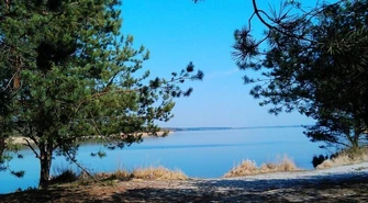 Z cyklu "Przyroda zawsze ci odda..."  Barkowice i Barkowice Mokre - ulubione miejsce wypoczynku 