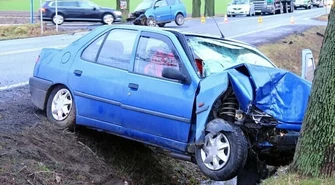 Czy przydrożne drzewa pójdą pod topór?