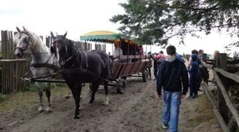  Podaruj uśmiech. Piknik MOPR