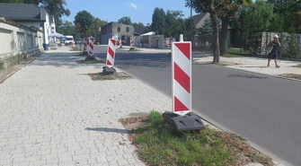 Biało-czerwone drzewa na Cmentarnej w Piotrkowie