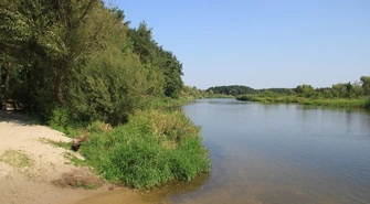 Z cyklu "Przyroda zawsze Ci odda" - Pilica