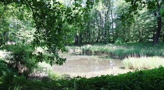 Mają prawie 2 mln dofinansowania na rewaloryzację parku w Woli Krzysztoporskiej