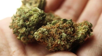 Prawie 250 gramów marihuany w mieszkaniu 37-latka 