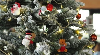 Świąteczna ciekawostka z Łodzi