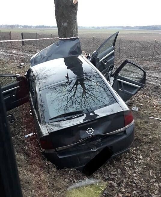 Poszukiwani świadkowie wypadku w Rzejowicach