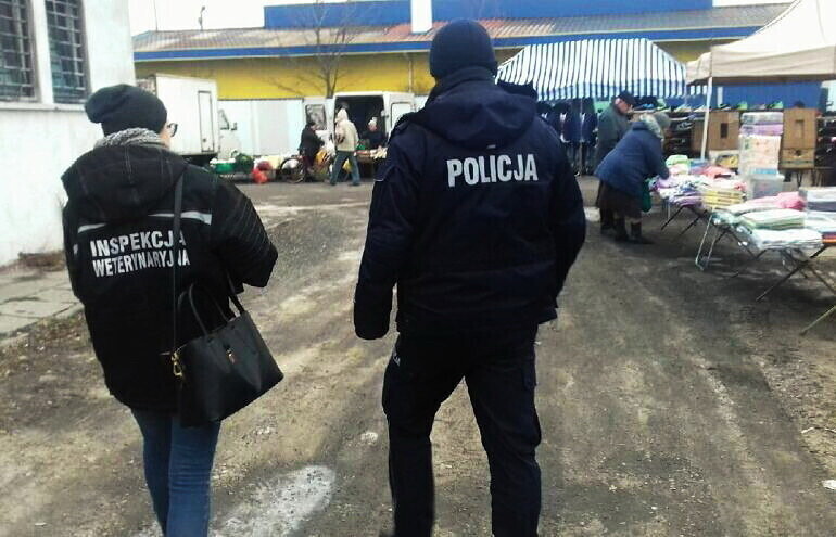 Kontrole na targowiskach. Sprawdzali legalności sprzedaży żywca