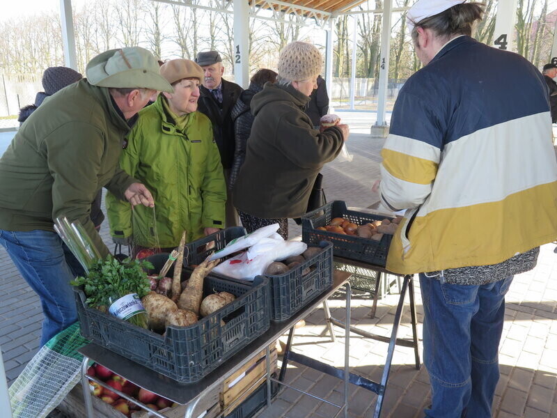 Mój rynek w Czarnocinie oficjalnie otwarty