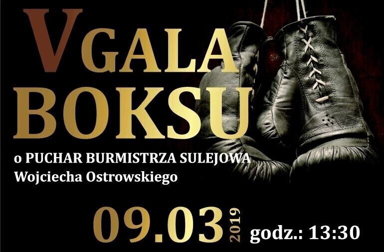 V Gala Boksu w Sulejowie. Powalczą o puchar burmistrza