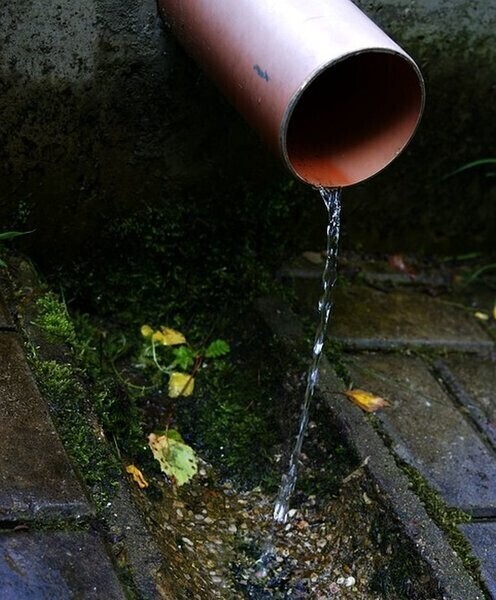 Za wodę jak za zboże