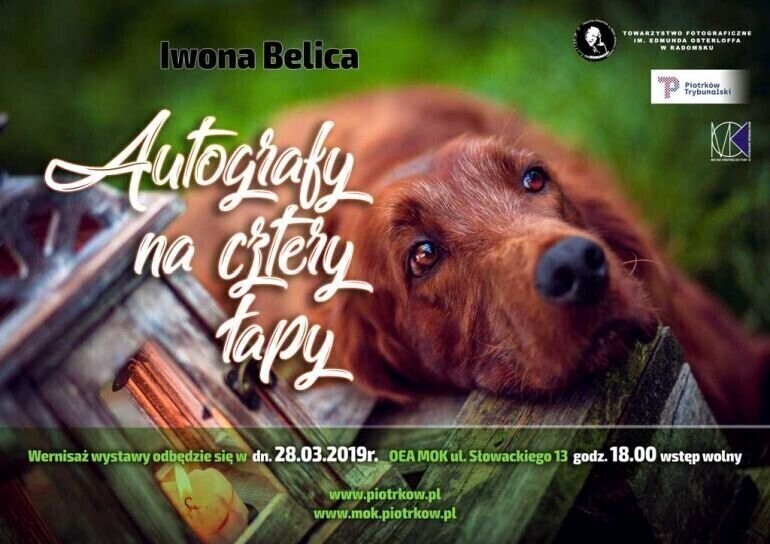 Autografy na cztery łapy