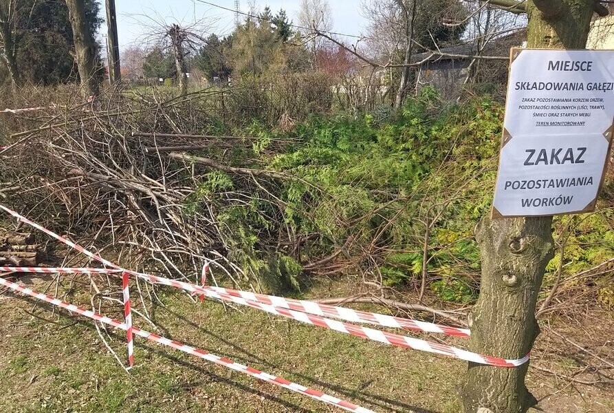 Pogoda sprzyja działkowcom. Sezon rozpoczęty