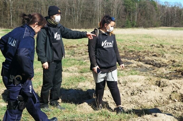 Szczątki zwierząt na polach pod Piotrkowem