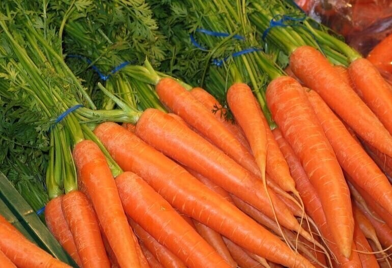 Mała pomarańczowa bardzo zdrowa... 4 kwietnia obchodzimy Dzień Marchewki