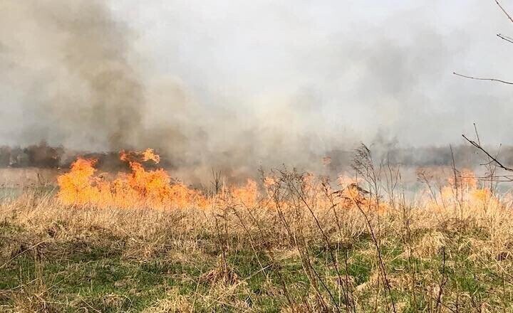 Pożar traw w Piotrkowie