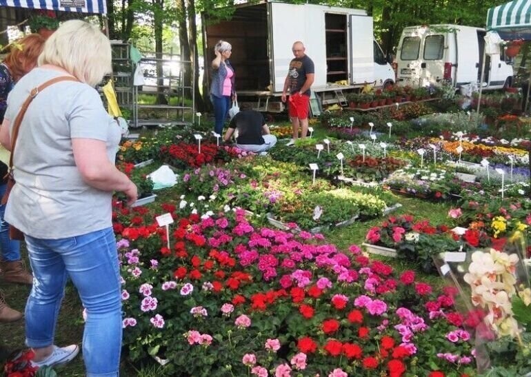 W niedzielę Piotrkowskie Targi Ogrodnicze