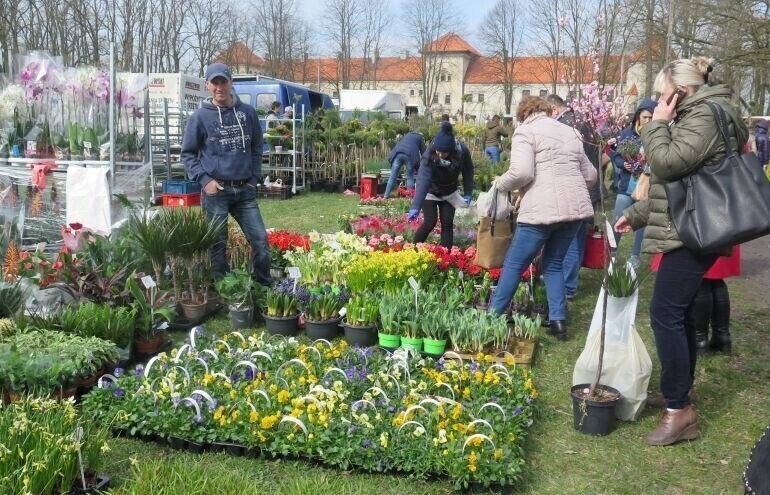 Pamiętaliście o ogrodach