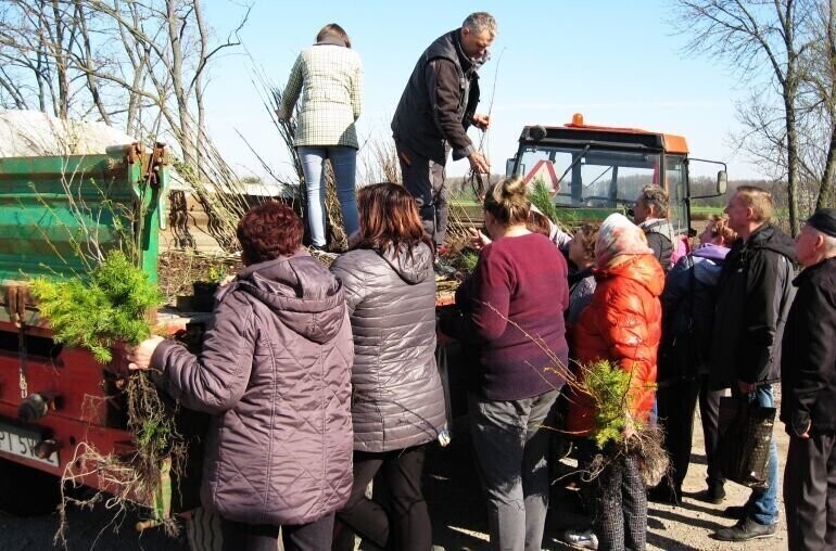 W gminie Grabica rozdawali sadzonki