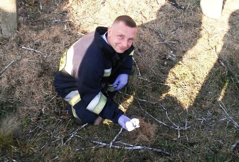 Strażacy pomogli bocianiej rodzinie