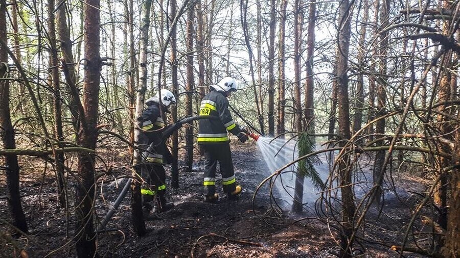 W lasach susza. Płonie kilkadziesiąt hektarów w pow. opoczyńskim foto video