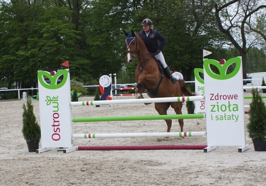 W Bogusławicach rozpoczęły się Ogólnopolskie i Regionalne Zawody w Skokach przez Przeszkody