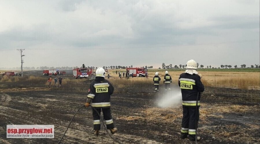 Aż 10 pożarów pól gasili w sobotę nasi strażacy