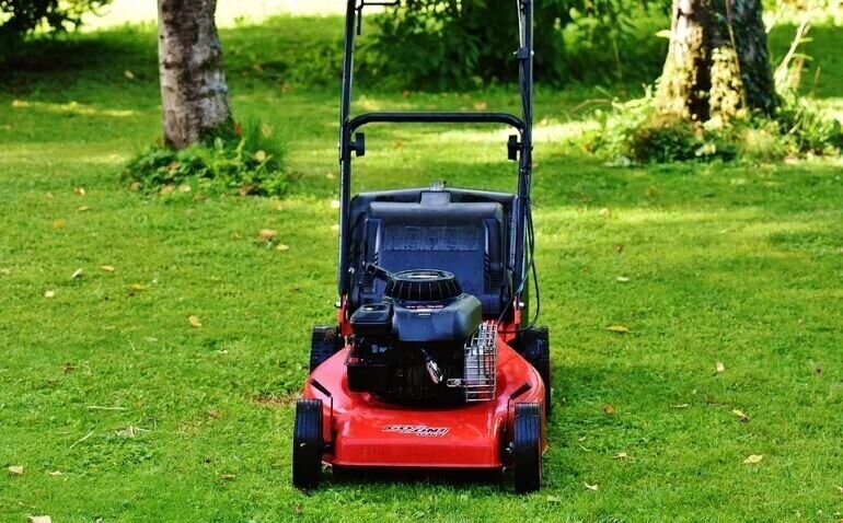 Łąki zamiast trawników