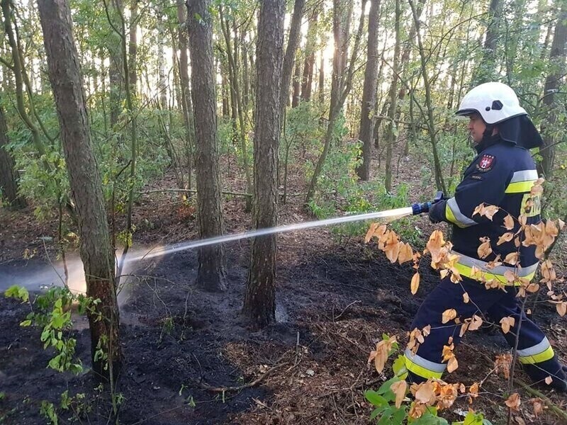 Płonący samochód na S8 i pożar w lesie