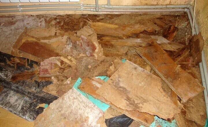 Przestała płacić czynsz bo nie chcieli wykonać remontu