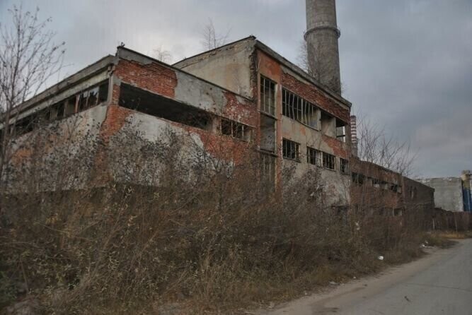 Zwłoki na kominie Wistomu