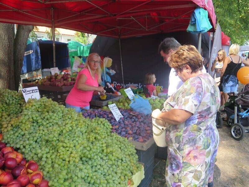 Kolejna Rol Szansa w Piotrkowie