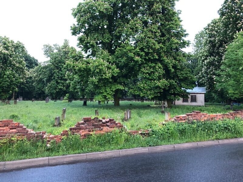 Piotrkowski cmentarz żydowski niszczeje