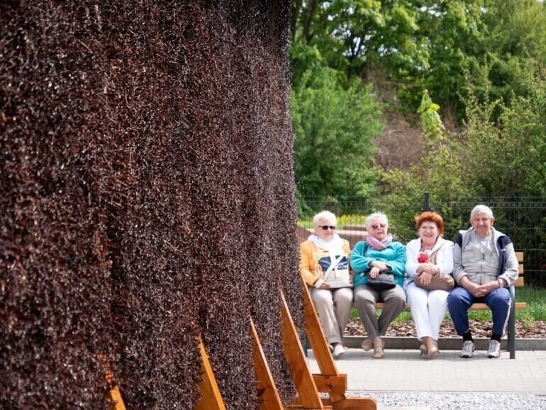 W środę dowiemy się które projekty wygrały