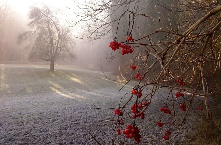 Nadchodzą pierwsze przymrozki