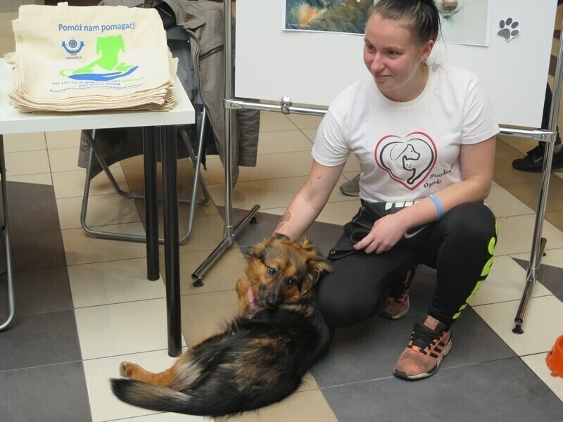 Piotrkowianie uczcili dzień zwierząt