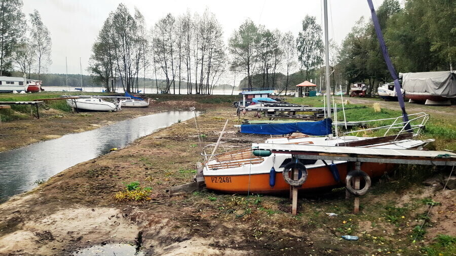 Uciekają z Zalewu Sulejowskiego