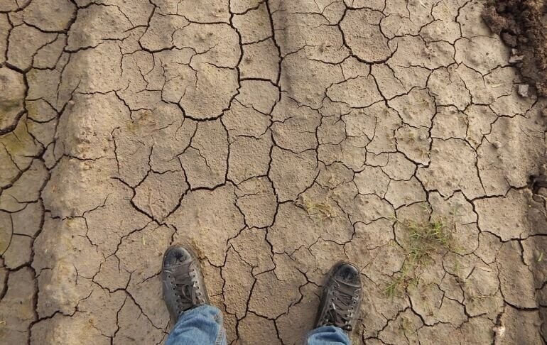 Na kontach rolników już ponad 150 mln zł