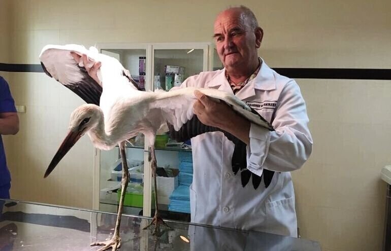 Zbigniew Skrzek Honorowym Obywatelem Miasta