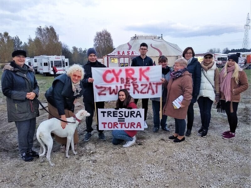 Tomaszowianie mówią NIE dla zwierząt w cyrku