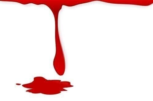 Zbiórki krwi w listopadzie