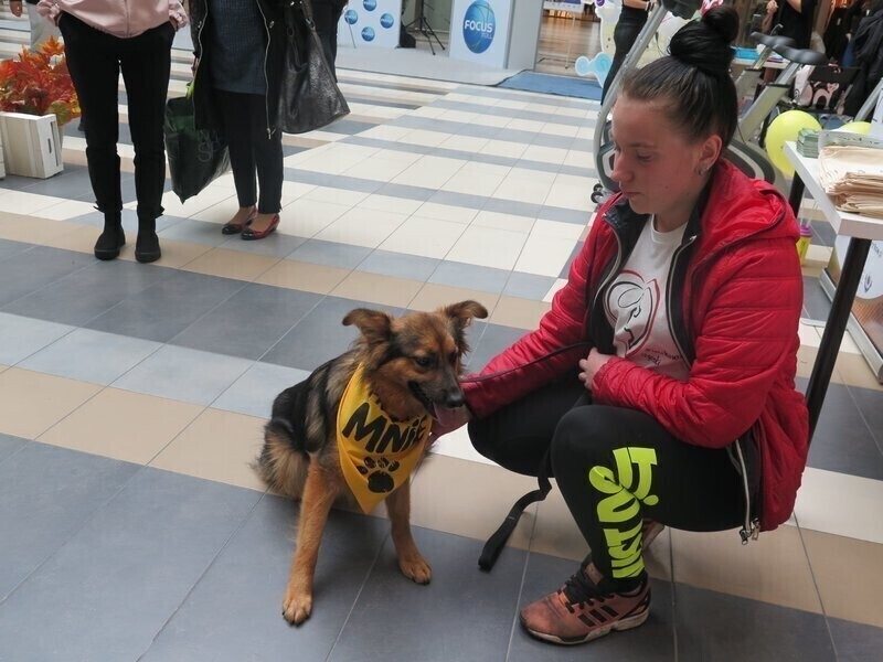 Do Focusa wejdziesz z pieskiem. Galeria zmieniła regulamin