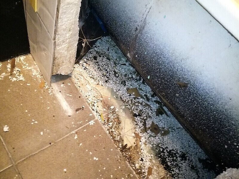 Szczury zjadają mieszkanie piotrkowianina. Kto za to odpowie