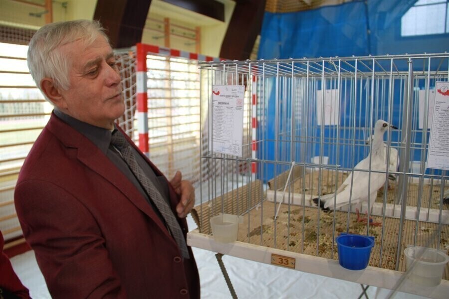Zapraszamy na kolejną wystawę gołębi rasowych i drobnego inwentarza