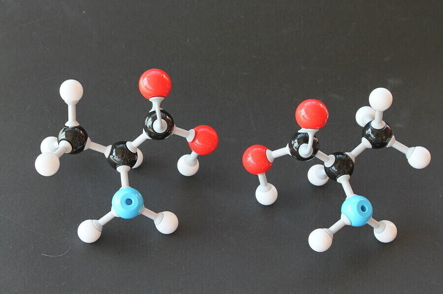 Aminokwasy dla sportowców - jakie wybrać