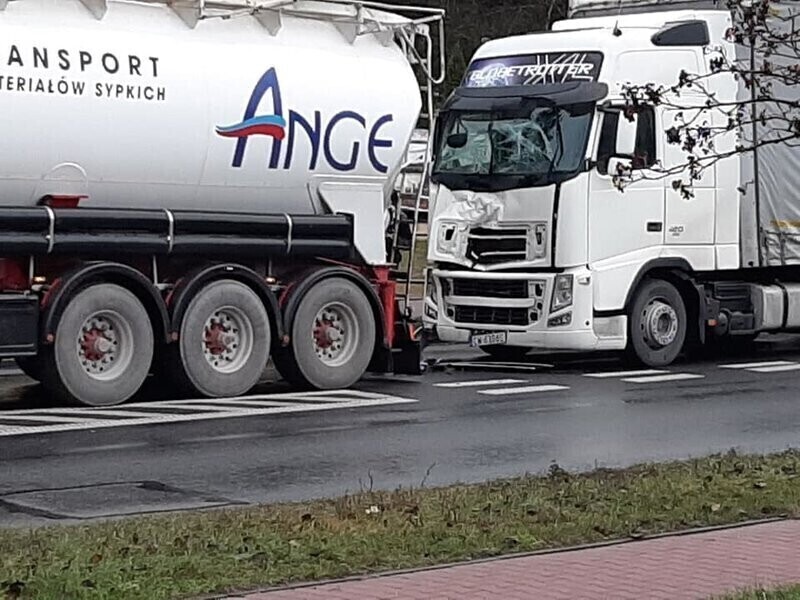 O włos od tragedii. Pięcioro dzieci na przejściu dla pieszych