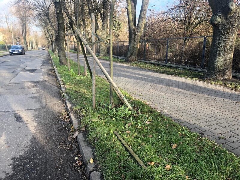 Zdjęcie 2: Niszczycielski spacer ulicą Żwirki