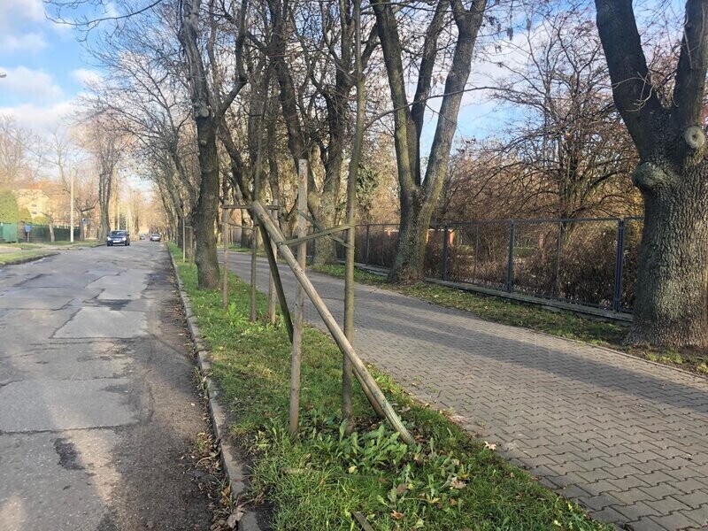 Zdjęcie 4: Niszczycielski spacer ulicą Żwirki