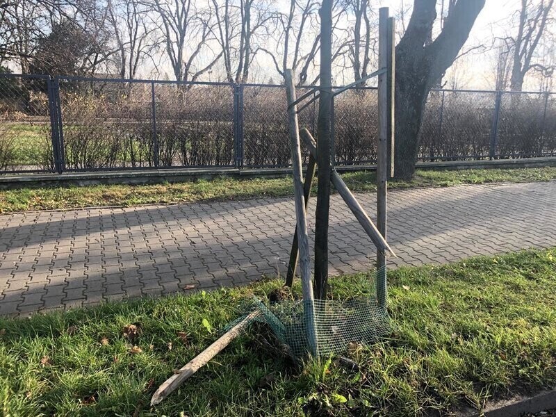 Zdjęcie 5: Niszczycielski spacer ulicą Żwirki